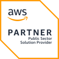 public sector